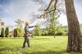 Lawn Maintenance Plans in District Heights, MD