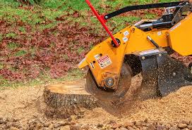 Lawn Grading and Leveling in District Heights, MD