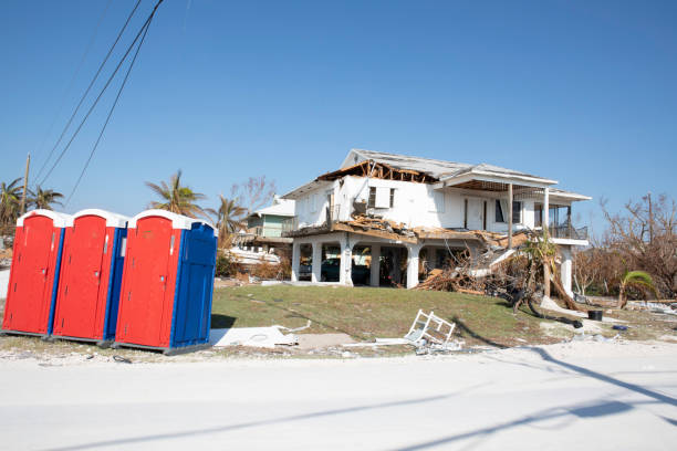 Reliable District Heights, MD Tree Removal Solutions